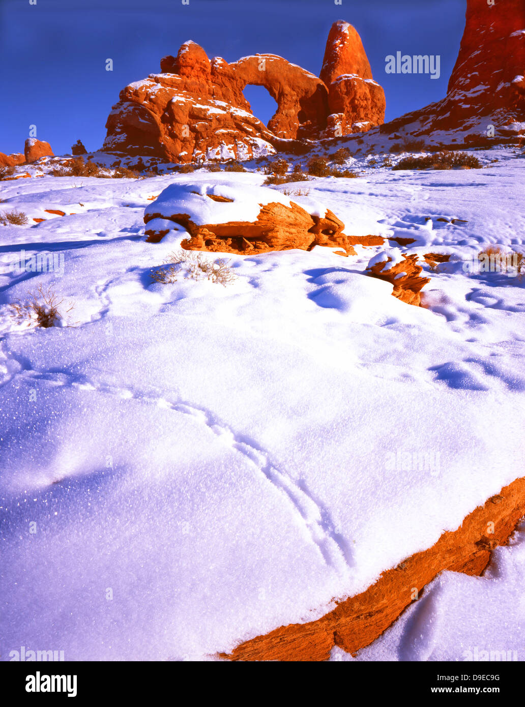 Pistes de lapin dans la neige en face de tourelle Arch dans la section Windows de Arches National Park près de Moab, Utah Banque D'Images