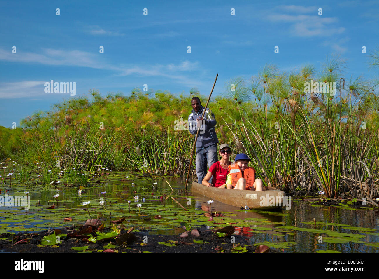 Les touristes étant pôles si lily pads en mokoro (pirogue), Okavango Delta, Botswana, Africa Banque D'Images