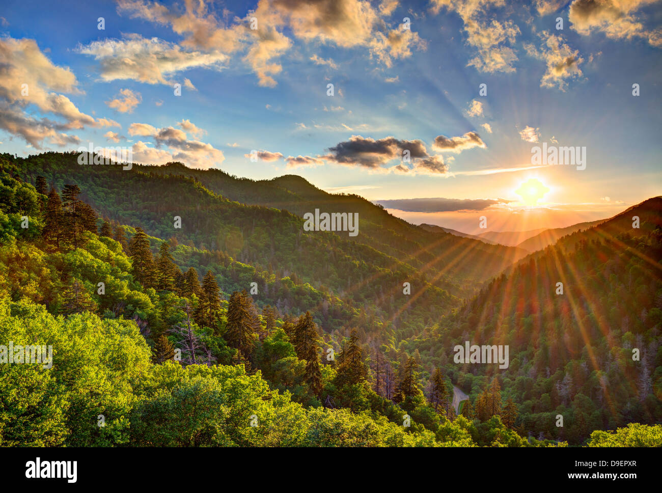 Newfound Gap dans les Smoky Mountains près de Gatlinburg, Tennessee. Banque D'Images