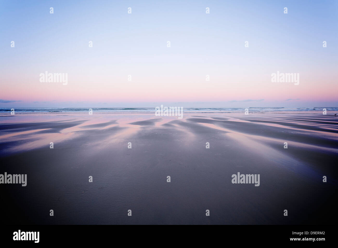 Piha beach Sunrise - tôt le matin, sur une plage déserte avec une lumière douce, beaucoup d'espace de copie. Piha, Auckland, Nouvelle-Zélande. Banque D'Images Piha beach Sunrise - tôt le matin, sur une plage déserte avec une lumière douce, beaucoup d'espace de copie. Piha, Auckland, Nouvelle-Zélande. Banque D'Images