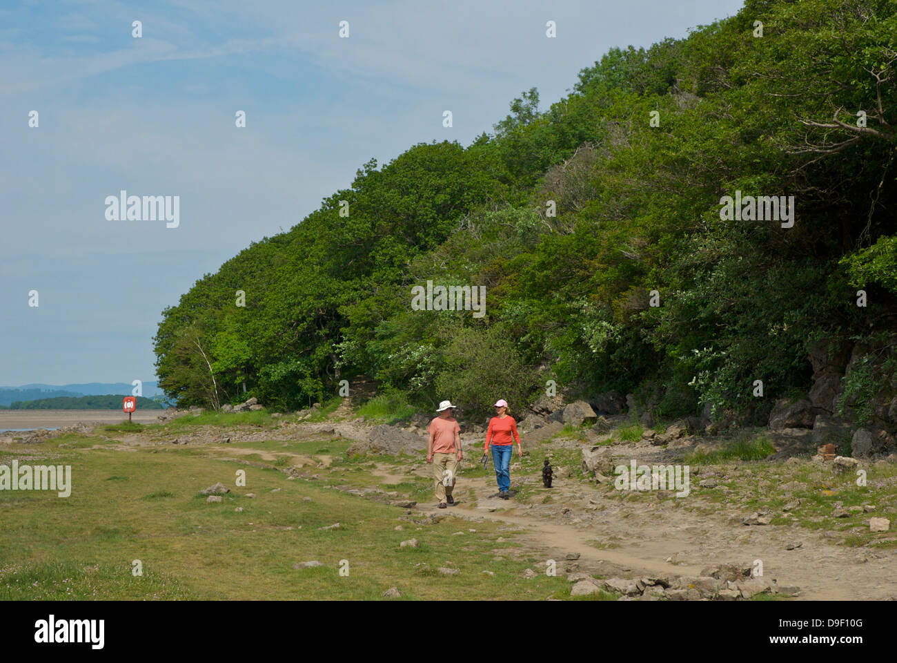 Couple d'âge moyen - et le chien - marche passé Grubbins Bois, près d'Arnside, Cumbria, Angleterre, Royaume-Uni Banque D'Images