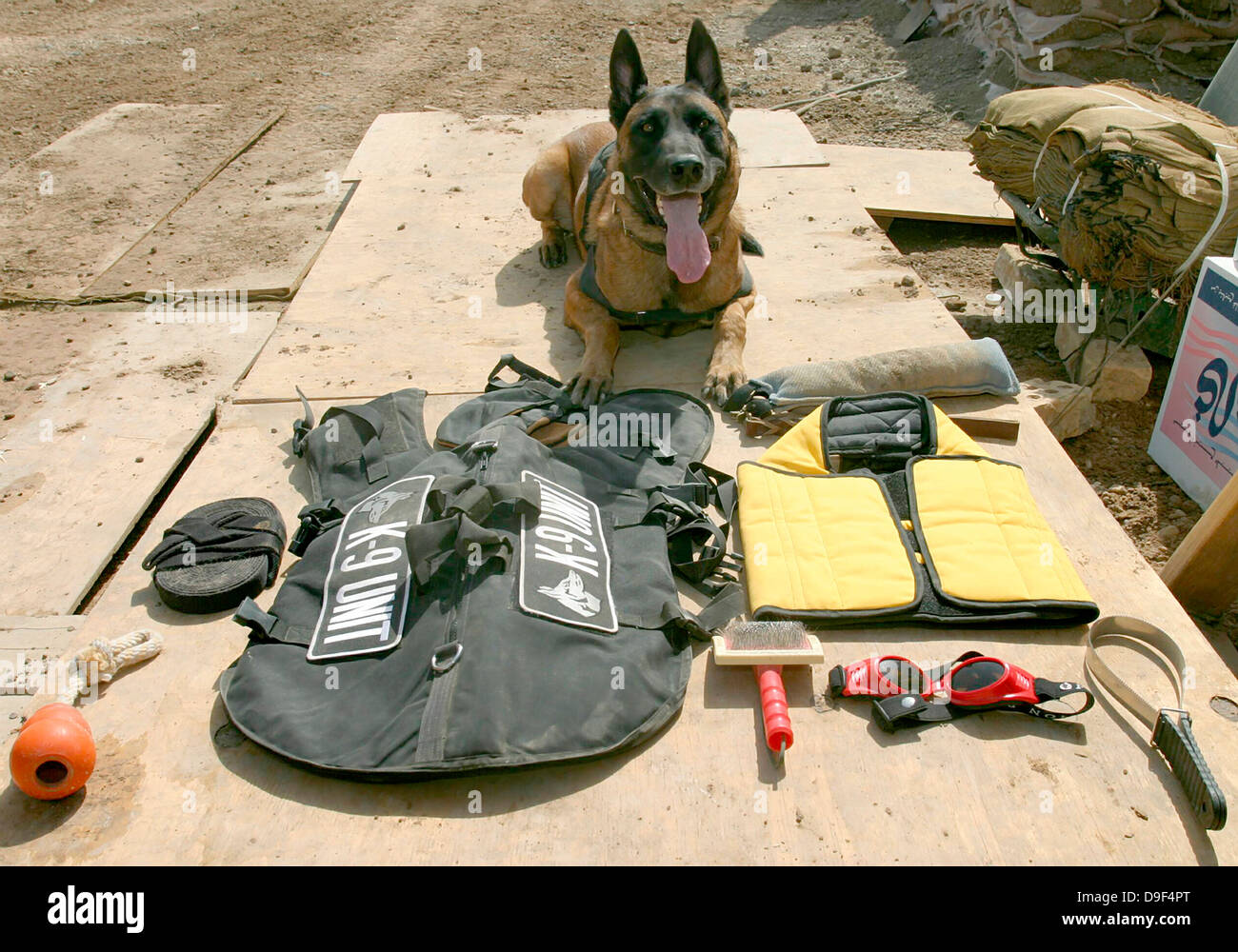 Un chien de la police militaire est assis à côté de son émis et équipement de protection. Banque D'Images