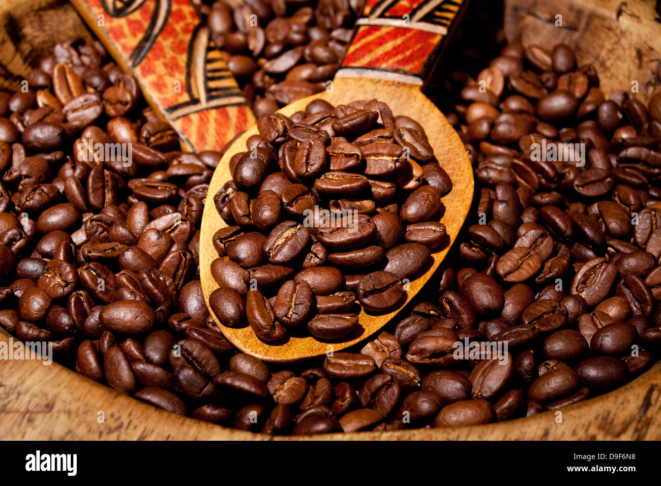 Les grains de café torréfié frais sur une cuillère en bois, les grains de café fraîchement torréfié sur une cuillère en bois Banque D'Images