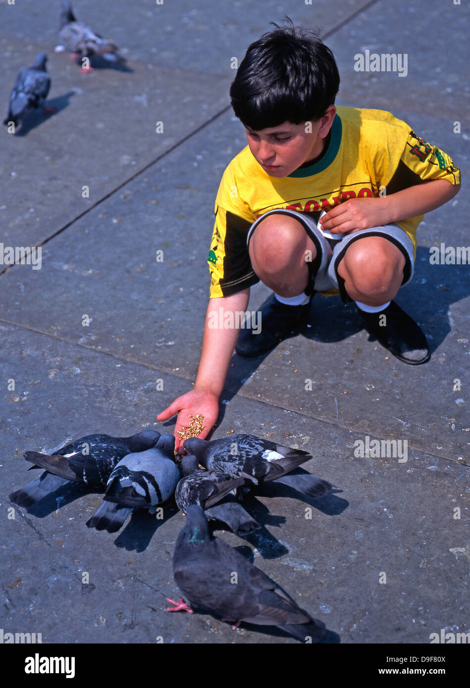 Garçon calmement l'alimentation à la main grain pour les pigeons (prises 1994 lorsque cette activité a été autorisé) sur le dallage de Trafalgar Square, Londres, Angleterre, Royaume-Uni. Banque D'Images