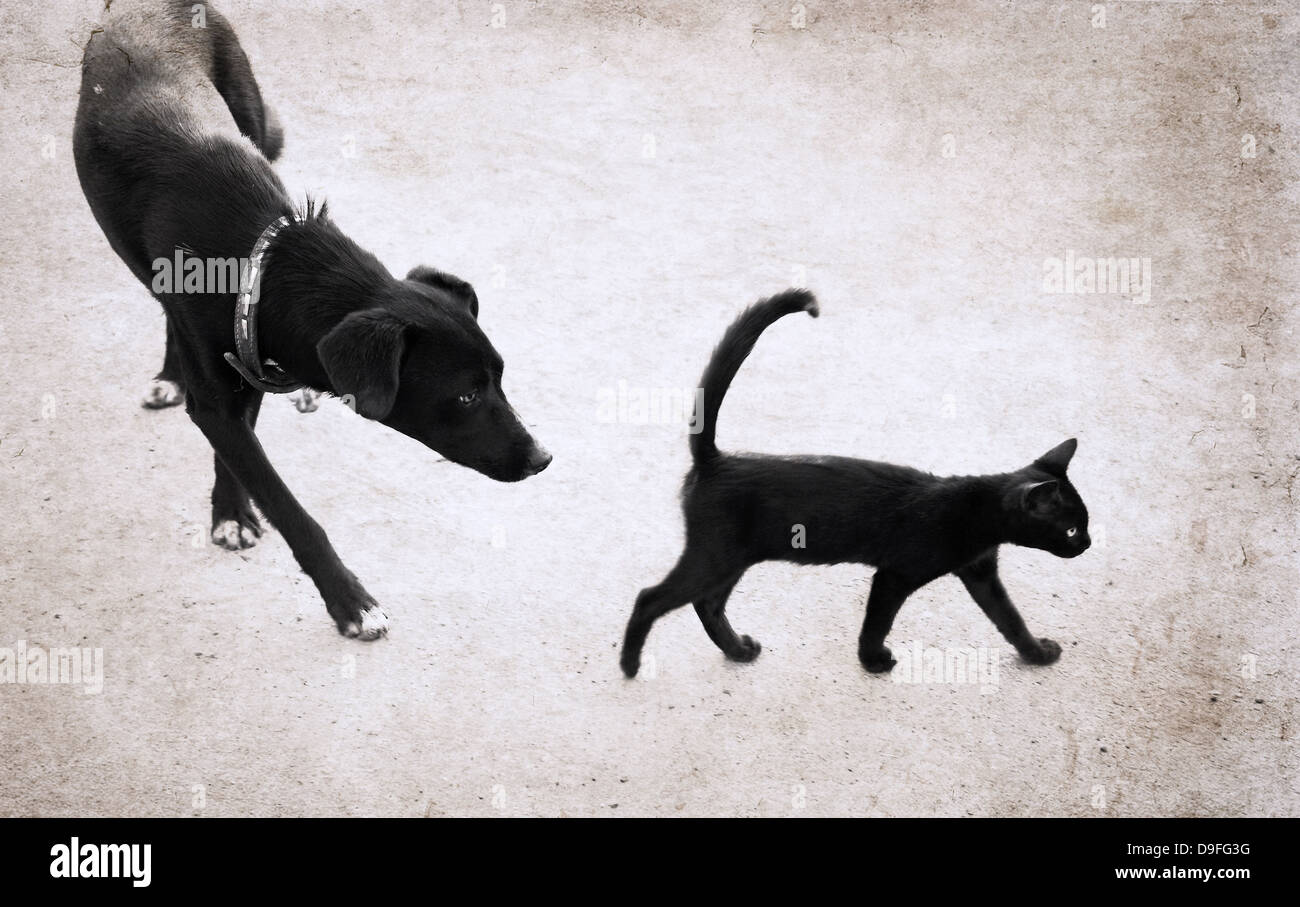 Image dans un style grunge, chat et chien Banque D'Images