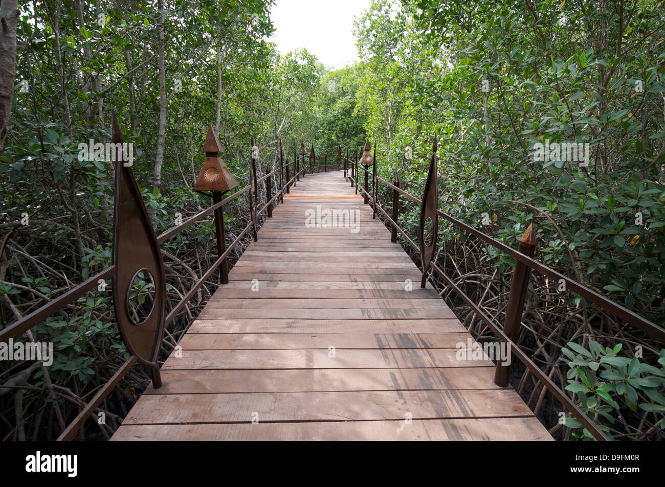 Mandina Lodge Makasutu, Forêt, Près de Banjul, Gambie, Afrique de l'Ouest, l'Afrique Banque D'Images