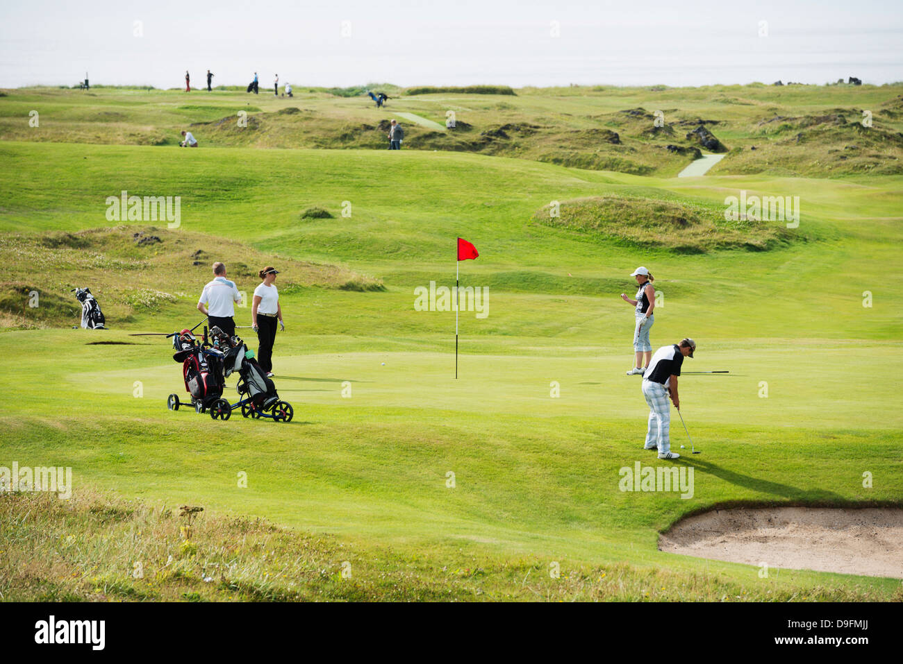 Terrain de golf, l'île de Heimaey, les îles Westman, Hofn, Islande, régions polaires Banque D'Images