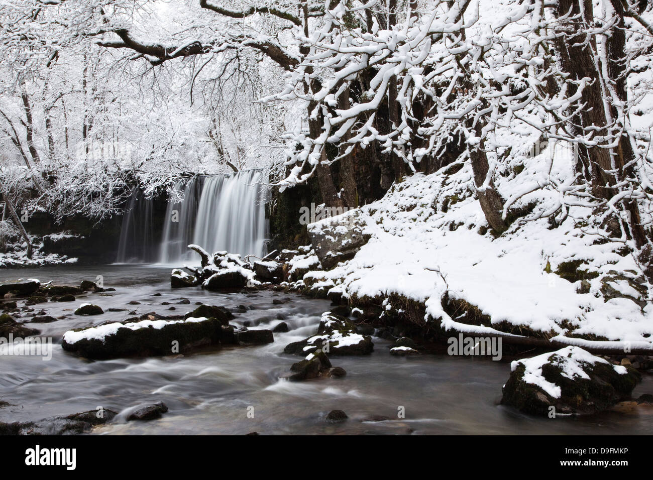 Sgwd Ddwli Cascade, parc national de Brecon Beacons, Powys, Wales, UK Banque D'Images