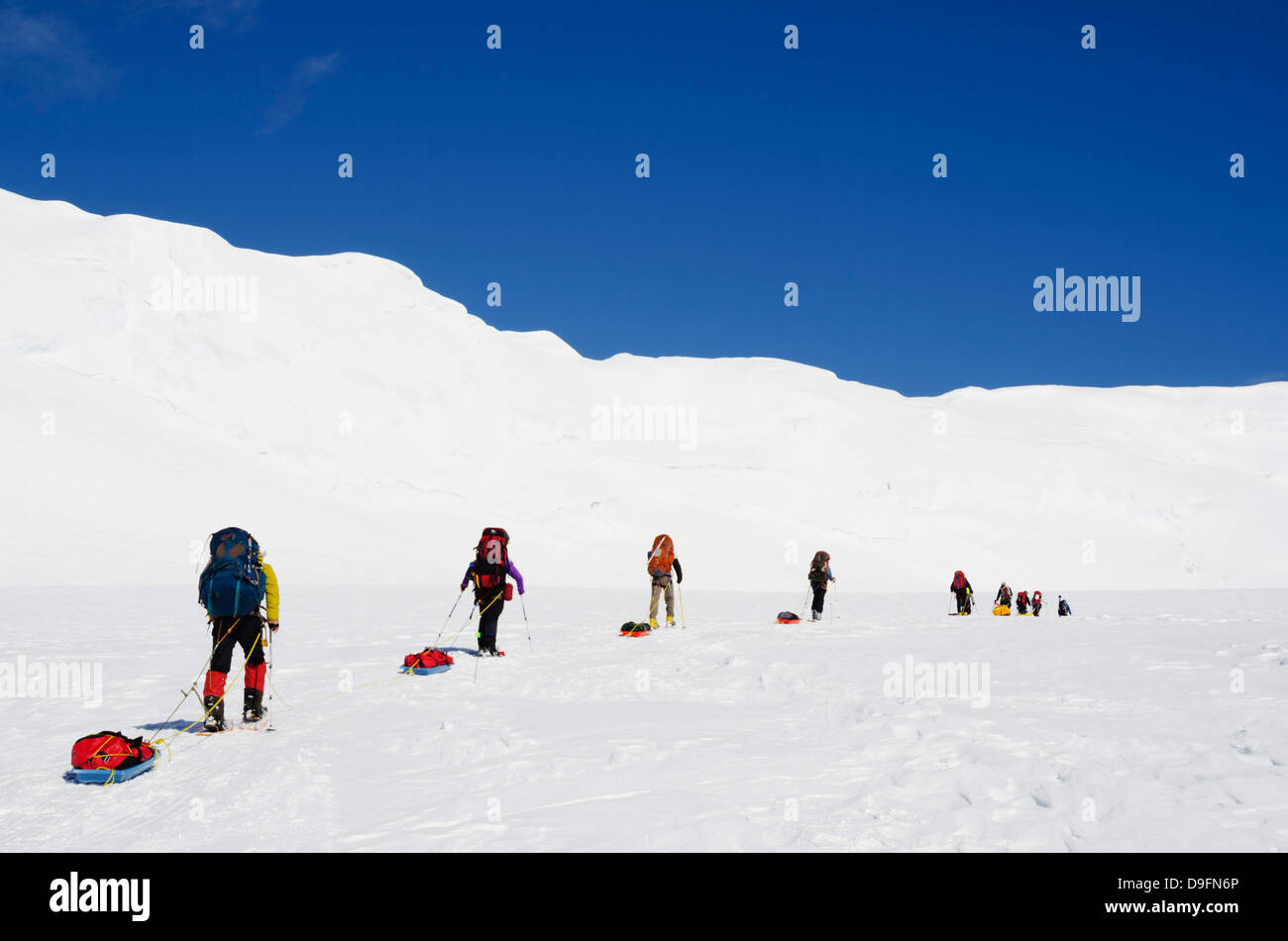 Alpinisme - expédition sur le mont McKinley, 6194m, le parc national Denali, Alaska, USA Banque D'Images