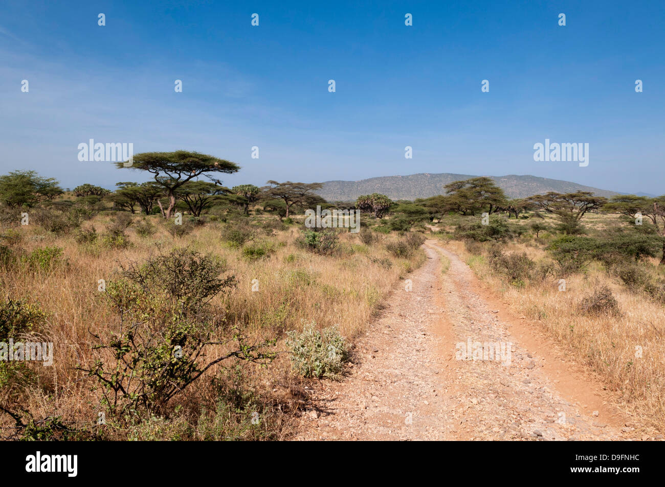 La Réserve nationale de Samburu, Kenya, Afrique de l'Est, l'Afrique Banque D'Images