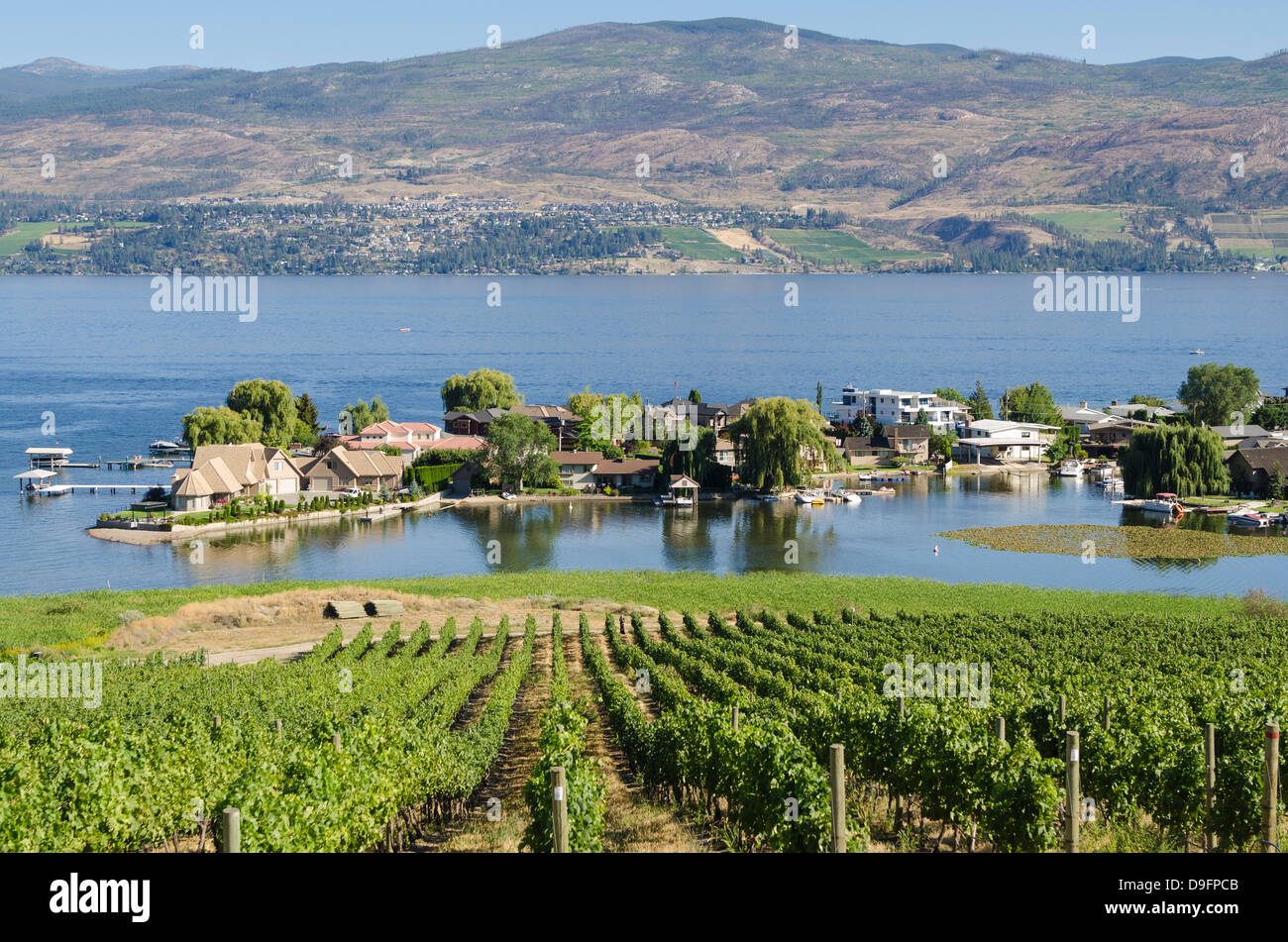 Les vignes et le lac Okanagan à Quails Gate Winery, Kelowna, Colombie
