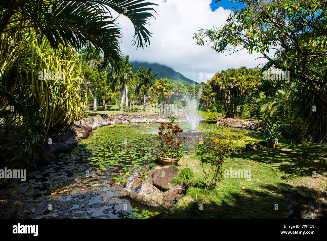 Jardins botaniques sur l'île de Nevis, Saint Kitts et Nevis, Iles sous le vent, Antilles, Caraïbes Banque D'Images
