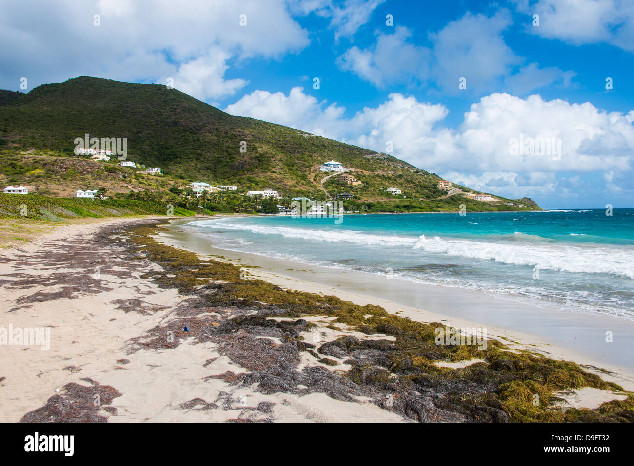 Turtle Beach, Saint Kitts, Saint Kitts et Nevis, Iles sous le vent, Antilles, Caraïbes Banque D'Images