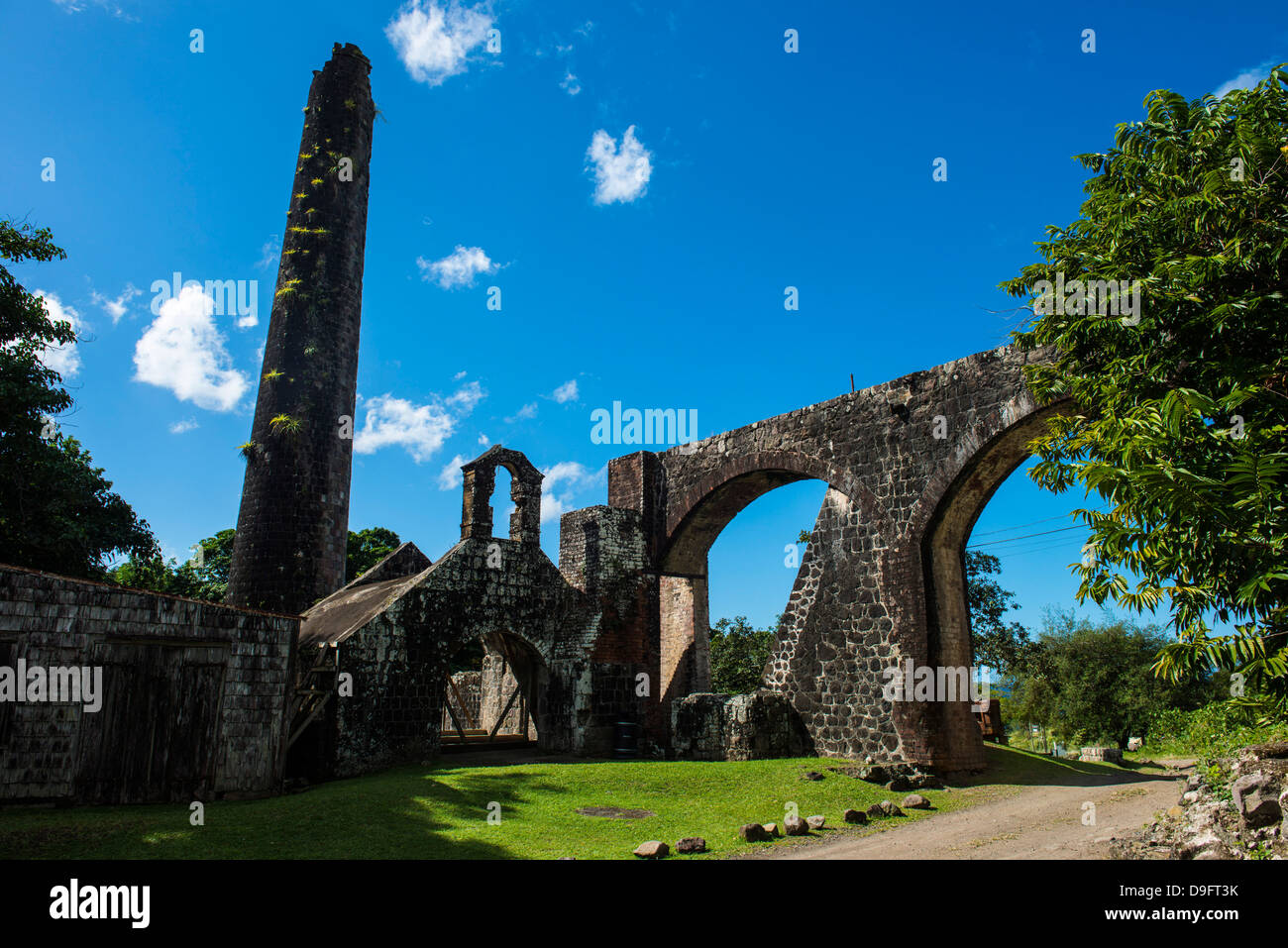 Ruines d'un vieux moulin, Saint Kitt, Saint Kitts et Nevis, Iles sous le vent, Antilles, Caraïbes Banque D'Images