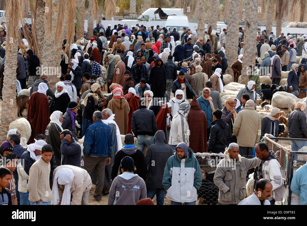 Marché aux bestiaux hebdomadaire à Douz, Tunisie, Afrique du Sud Banque D'Images