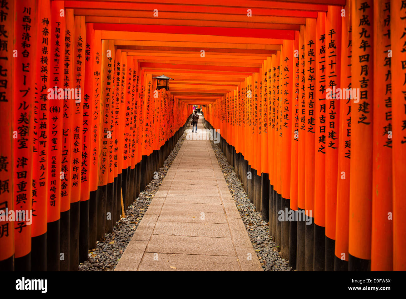 Les portes de rouge sans fin du Sanctuaire Fushimi Inari de Kyoto, Kyoto, Japon Banque D'Images
