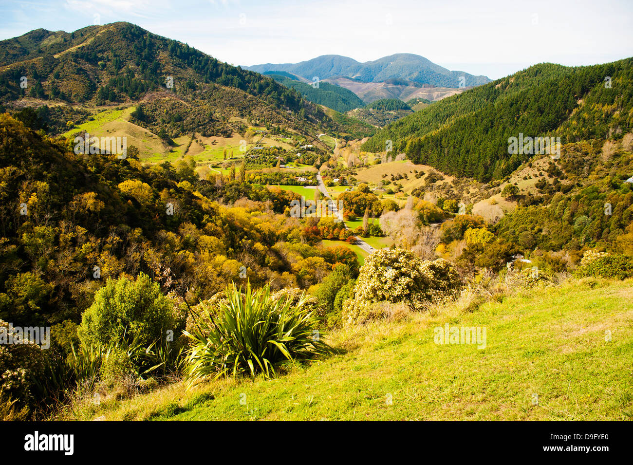 Prises du paysage du centre-ville de New Zealand, Nelson Hill, Nelson, île du Sud, Nouvelle-Zélande Banque D'Images