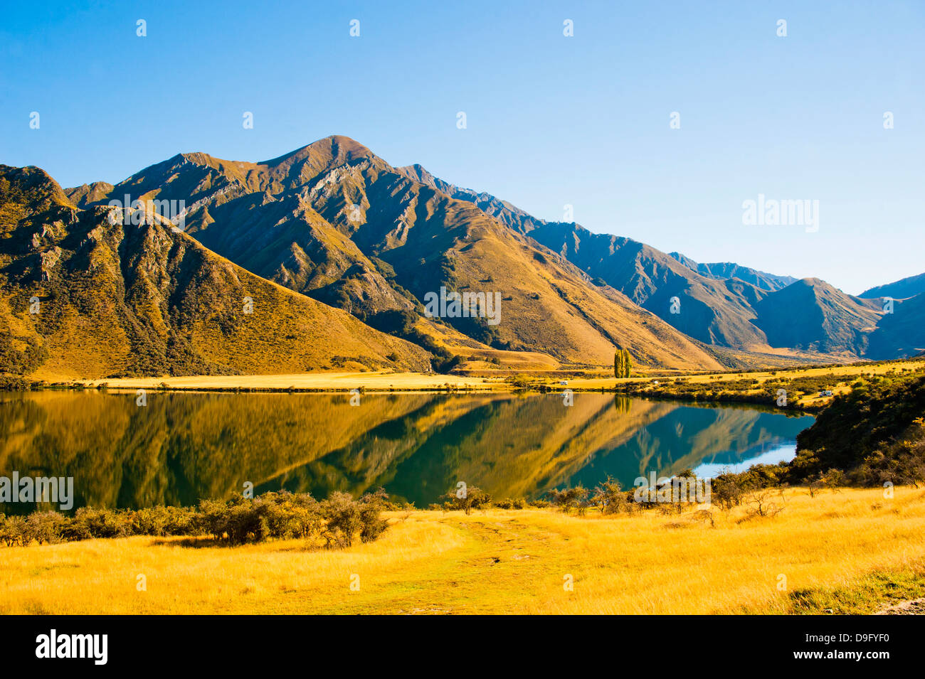 Réflexions tôt le matin au lac Moke, Queenstown, Otago, île du Sud, Nouvelle-Zélande Banque D'Images
