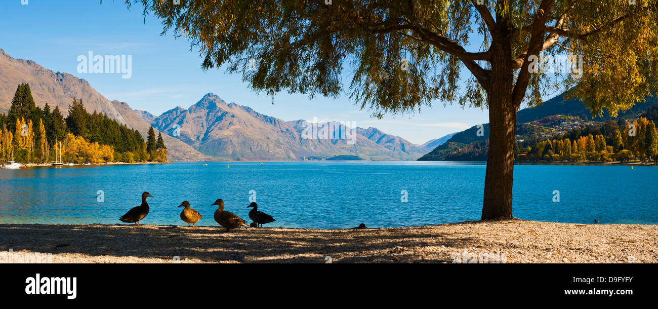 Le Lac Wakatipu automnales à Queenstown, Otago, île du Sud, Nouvelle-Zélande Banque D'Images