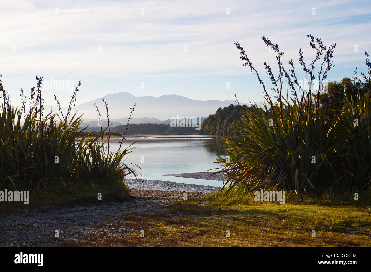 Okarito Lagoon au lever du soleil, de la côte ouest, île du Sud, Nouvelle-Zélande Banque D'Images