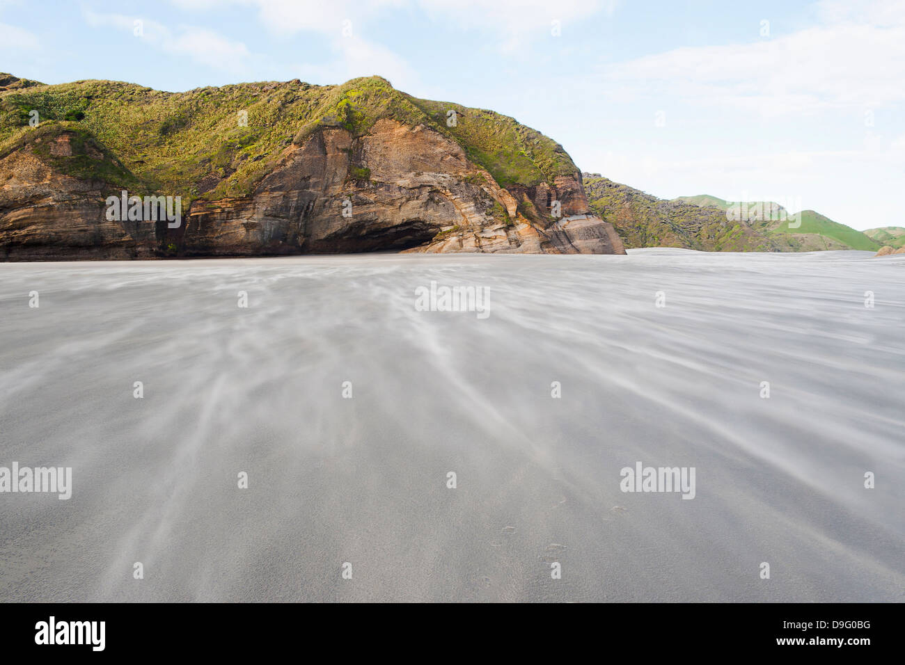 Le sable d'être soufflé le long de la plage de Wharariki venteux, Golden Bay, région de Tasmanie, île du Sud, Nouvelle-Zélande Banque D'Images