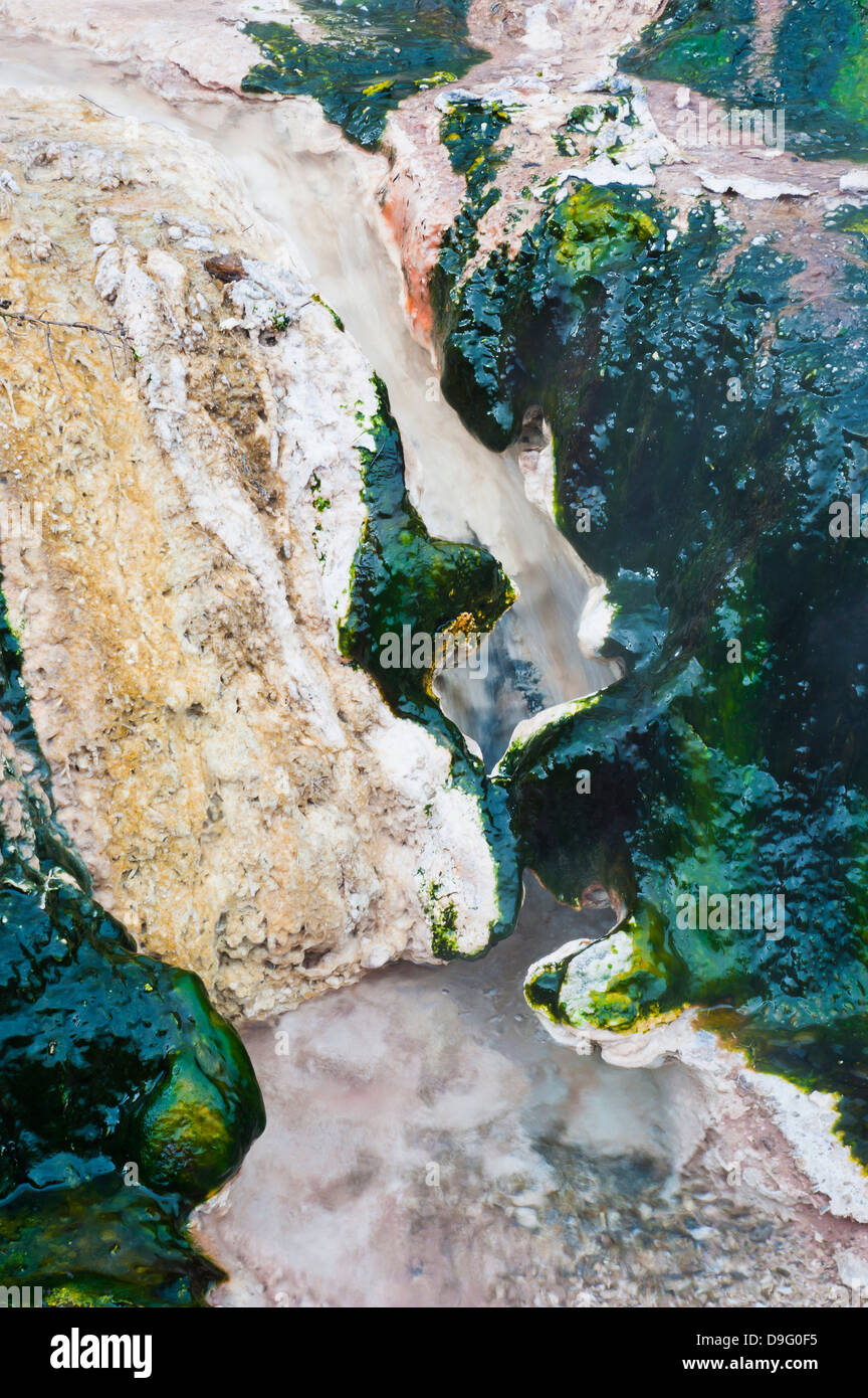 Flux chaud détail au Parc Thermal Orakei Korako, La vallée cachée, île du Nord, Nouvelle-Zélande Banque D'Images