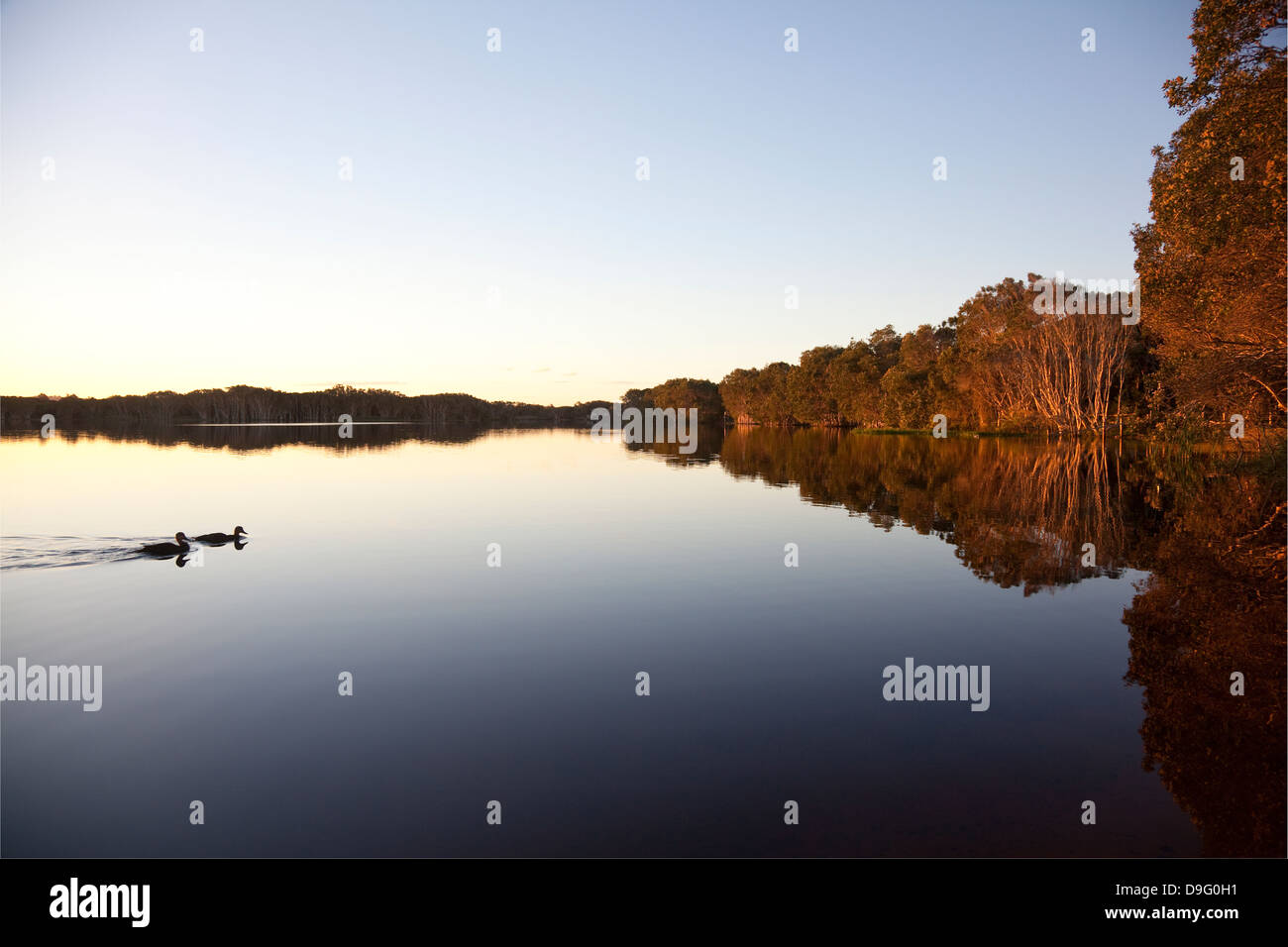 Lake Ainsworth, Lennox Head, NSW, Australie Banque D'Images