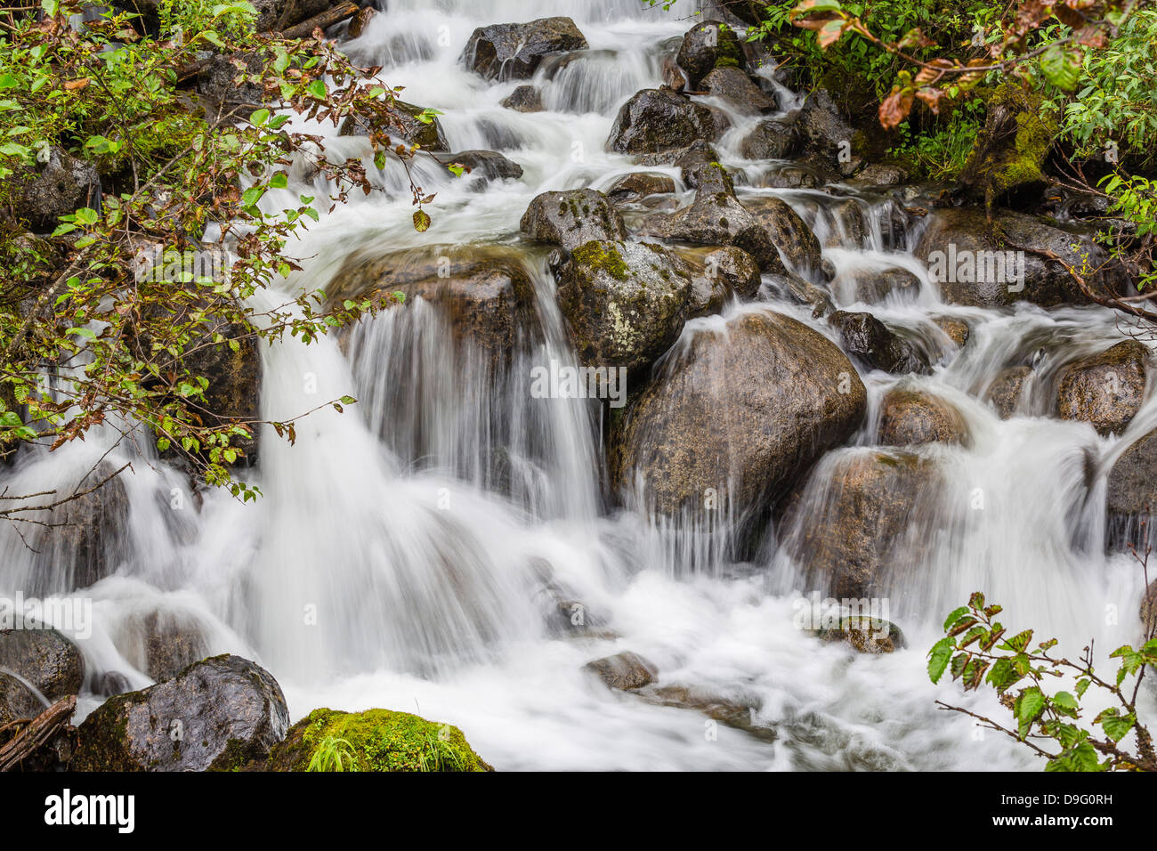 Petite Cascade près de Mendenhall Glacier, sud-est de l'Alaska, USA Banque D'Images