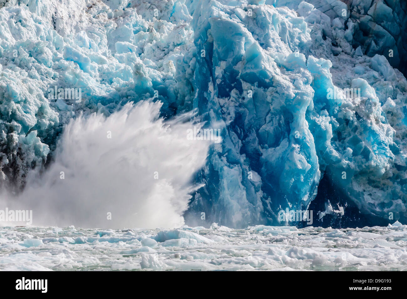 Au sud du glacier Sawyer le vêlage, Tracy Arm-Ford la terreur de l'espace sauvage, le sud-est de l'Alaska, USA Banque D'Images