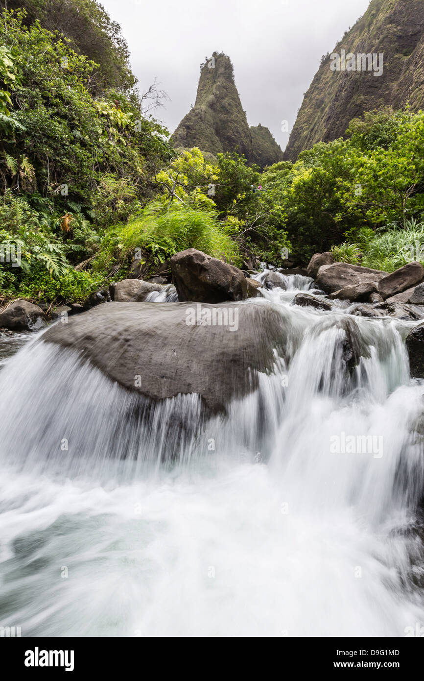 Cascade dans l'IAO Valley State Park, Maui, Hawaii, United States of America Banque D'Images