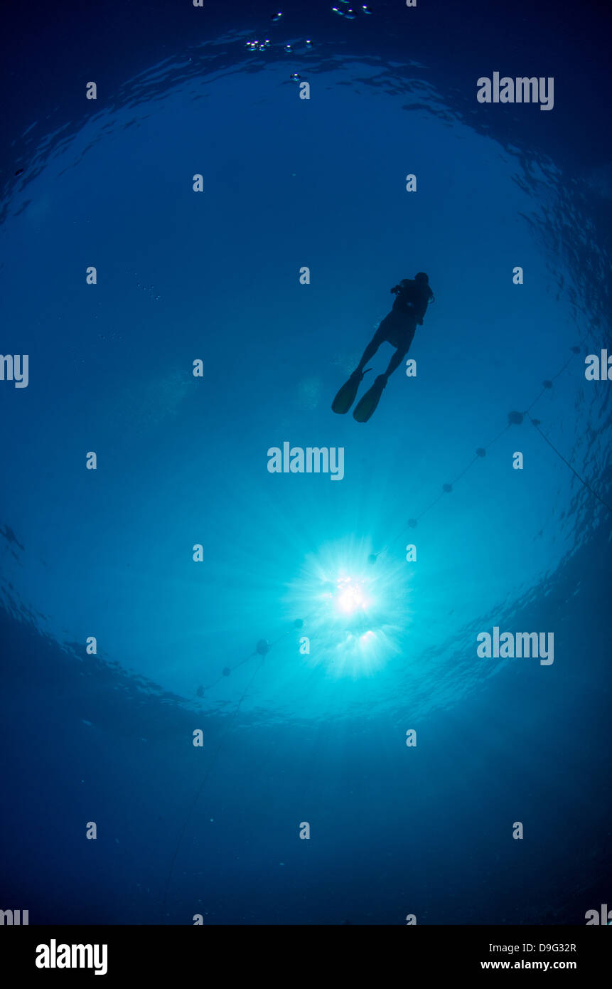 Silhouette d'un plongeur et sunball, sous l'oeil de poisson, l'Égypte, l'Afrique Banque D'Images