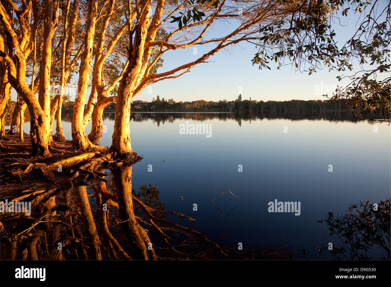 Lake Ainsworth, Lennox Head, NSW, Australie Banque D'Images