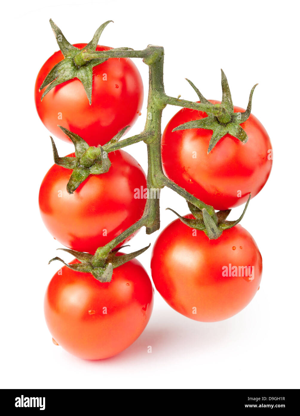 Branche de tomates cerises isolé sur fond blanc Banque D'Images