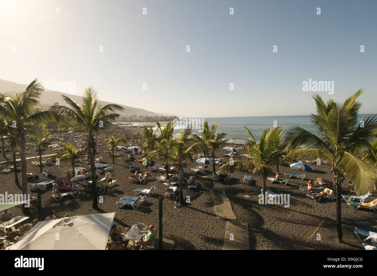 Plages Plage de sable de sable noir purto rico tenerife espagne espagnol palmiers palmiers palmiers bordée d'arbres Banque D'Images