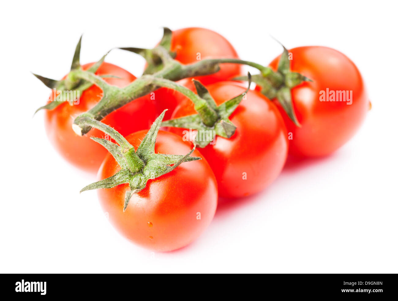 Branche de tomates cerises isolé sur fond blanc Banque D'Images