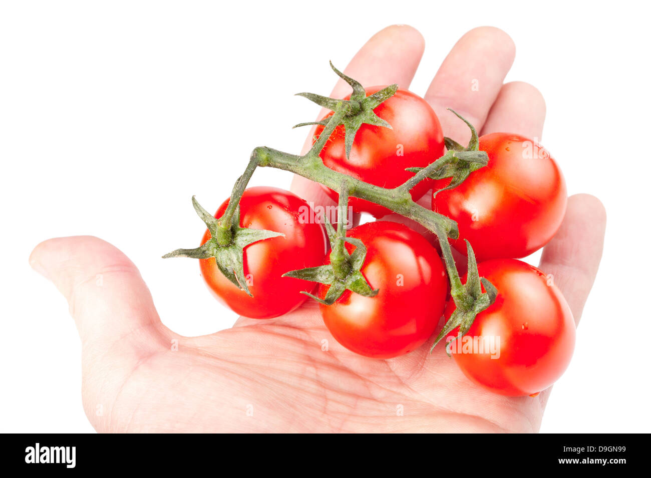 Branche de tomates cerises isolé sur fond blanc Banque D'Images