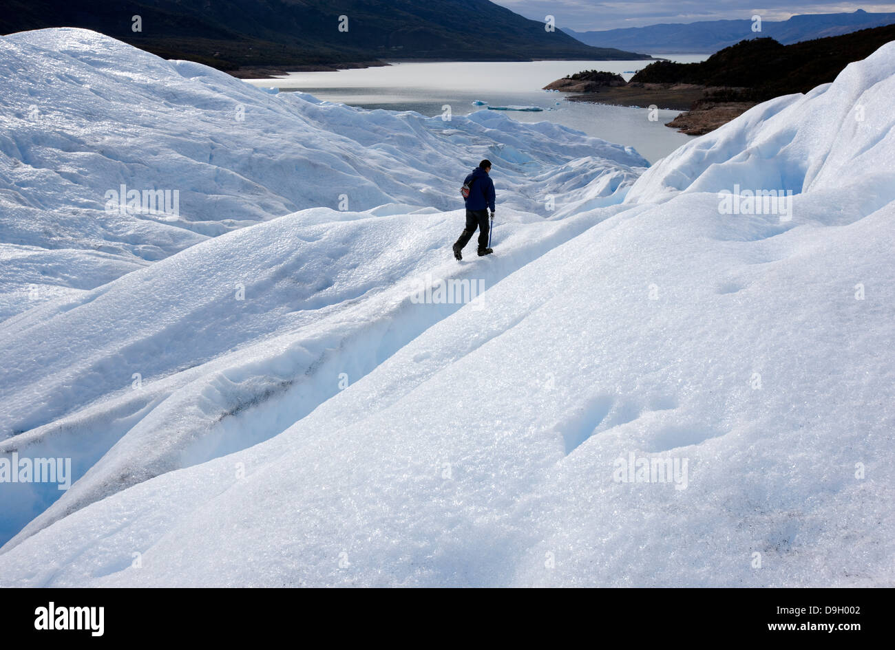 Un homme fait de la randonnée sur le glacier Perito Moreno. Des dizaines de touristes font chaque jour un trekking sur le glacier. Banque D'Images