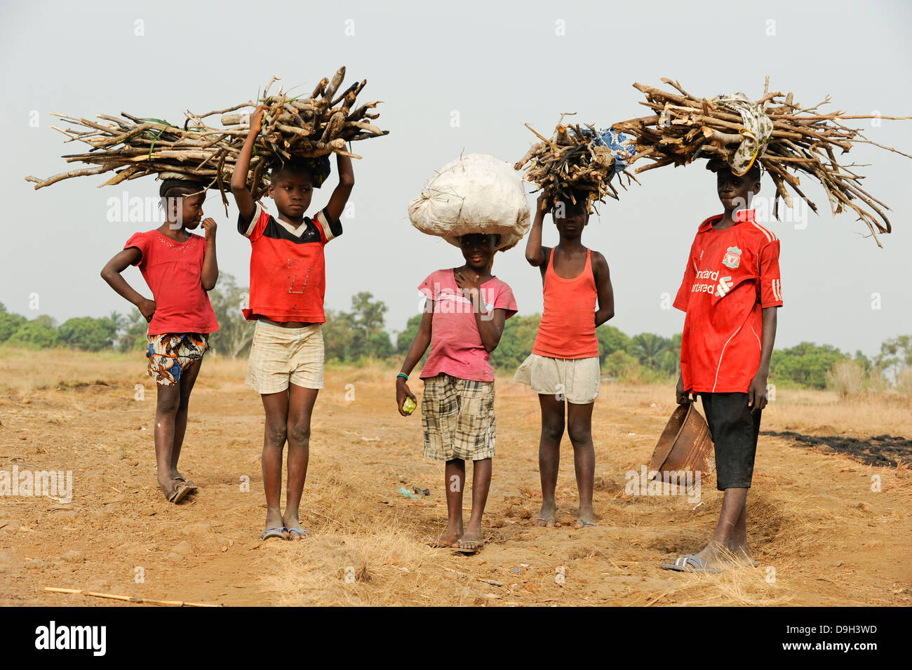 La SIERRA LEONE L'exploitation illégale de la forêt tropicale à l'ouest de la péninsule de la zone Forêt , les enfants portent sur la vente de carburant pour la tête Banque D'Images