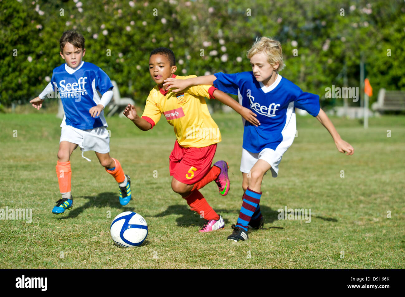 Joueurs de football junior de jouer un match, Cape Town, Afrique du Sud Banque D'Images