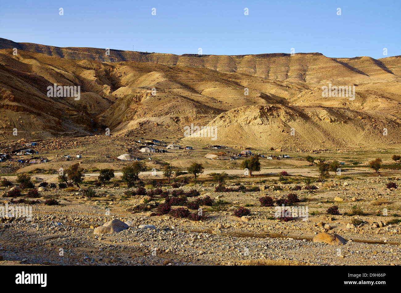 Tentes bédouines à Wadi al Hasa avec barrage Tannur, Karak/ Province Tafilah, Jordanie, Moyen-Orient Banque D'Images