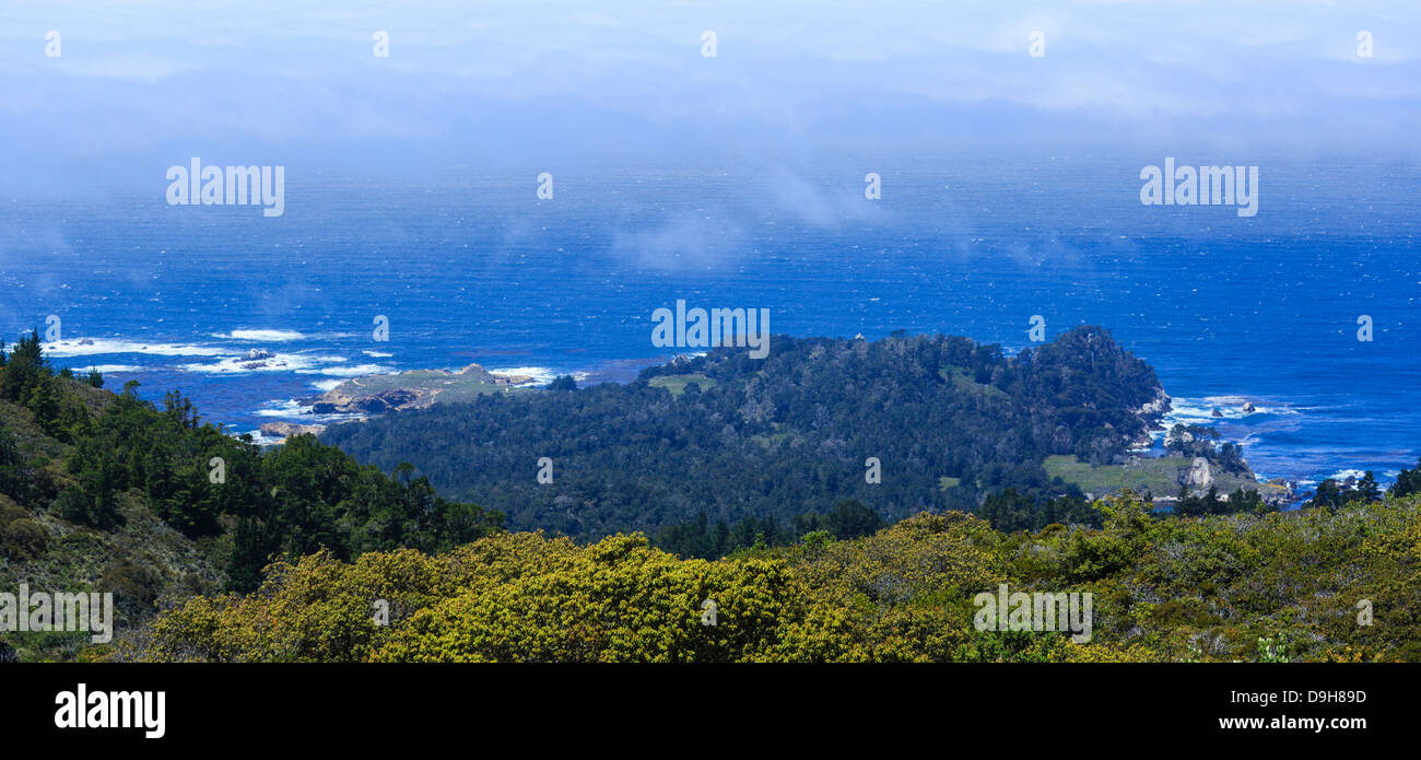 Rare portrait de Point Lobos State Park près de Carmel, en Californie. Banque D'Images