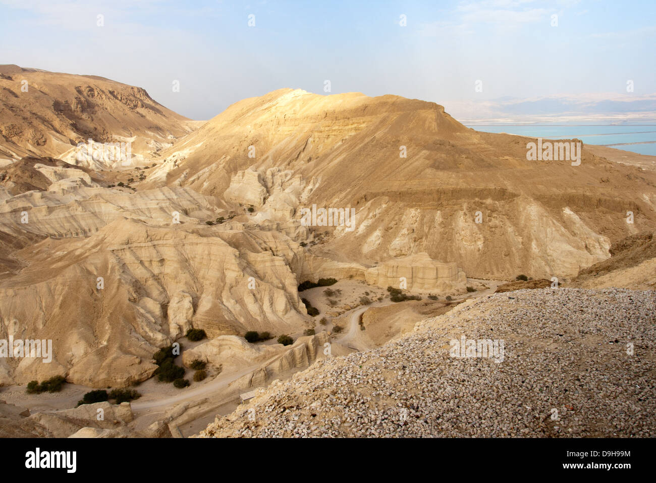 Désert du Néguev, près de la Mer Morte. Israël Banque D'Images