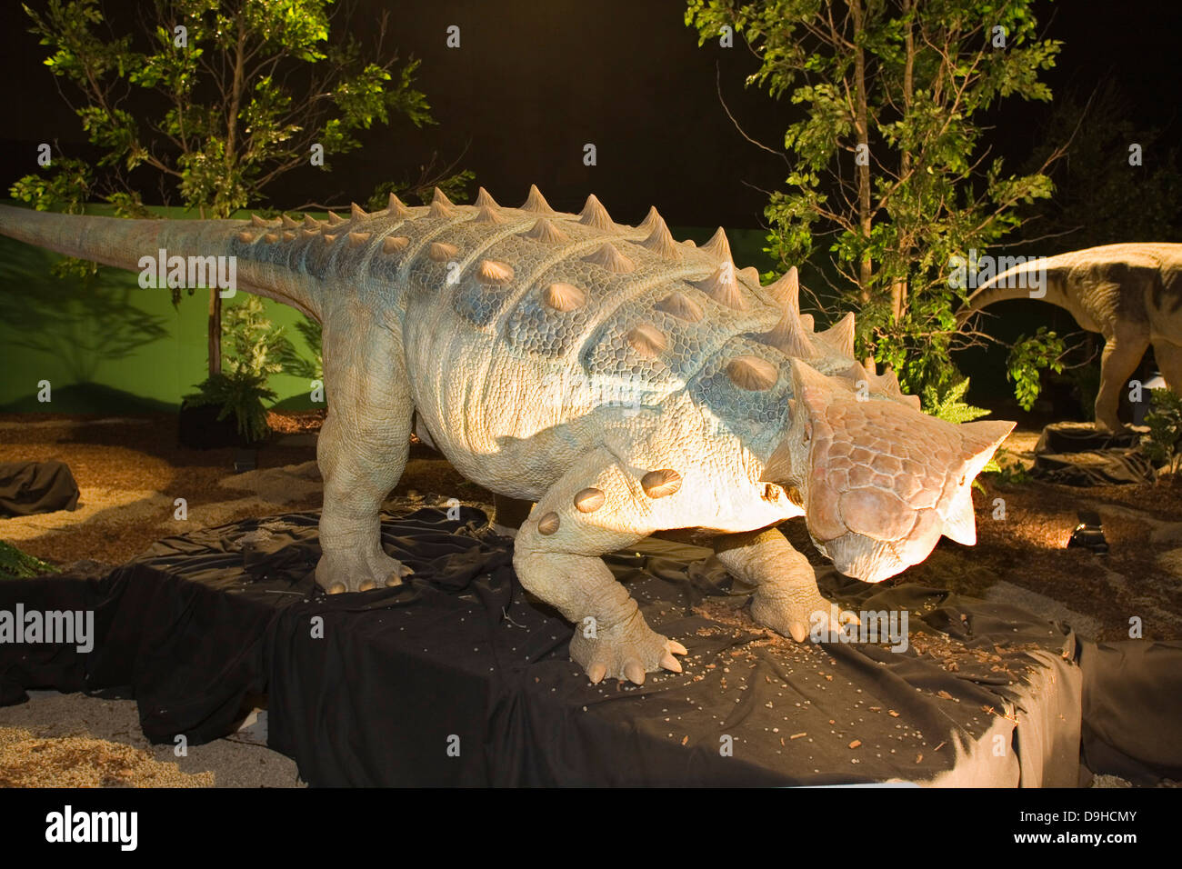 L'Europe, Italie, Lombardie, Cremona, exposition de reproduction de dinosaures, ankylosaures Banque D'Images