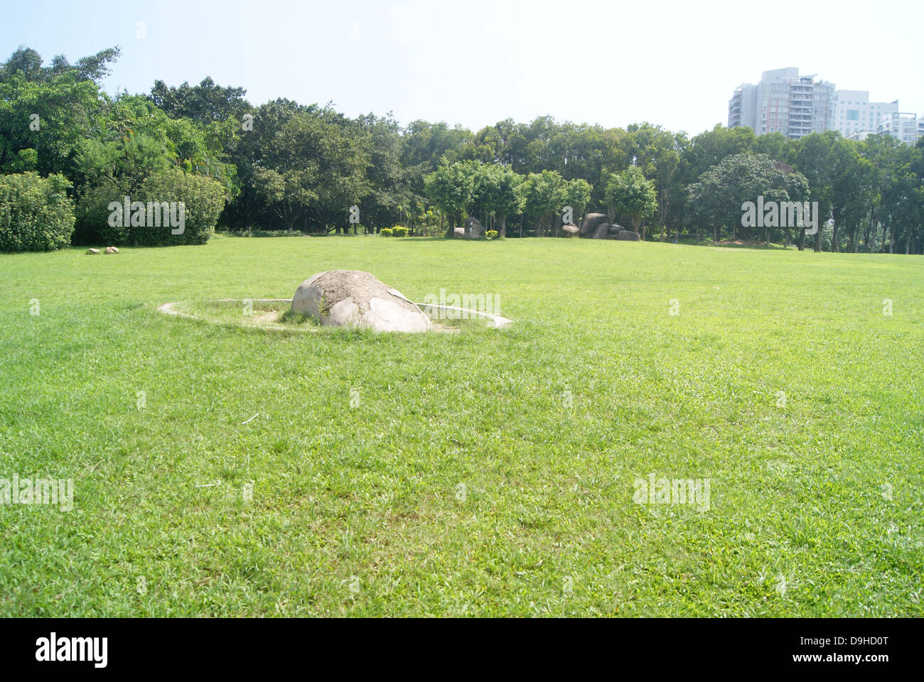 La pelouse verte, ganoderma park à Shenzhen, Chine Banque D'Images