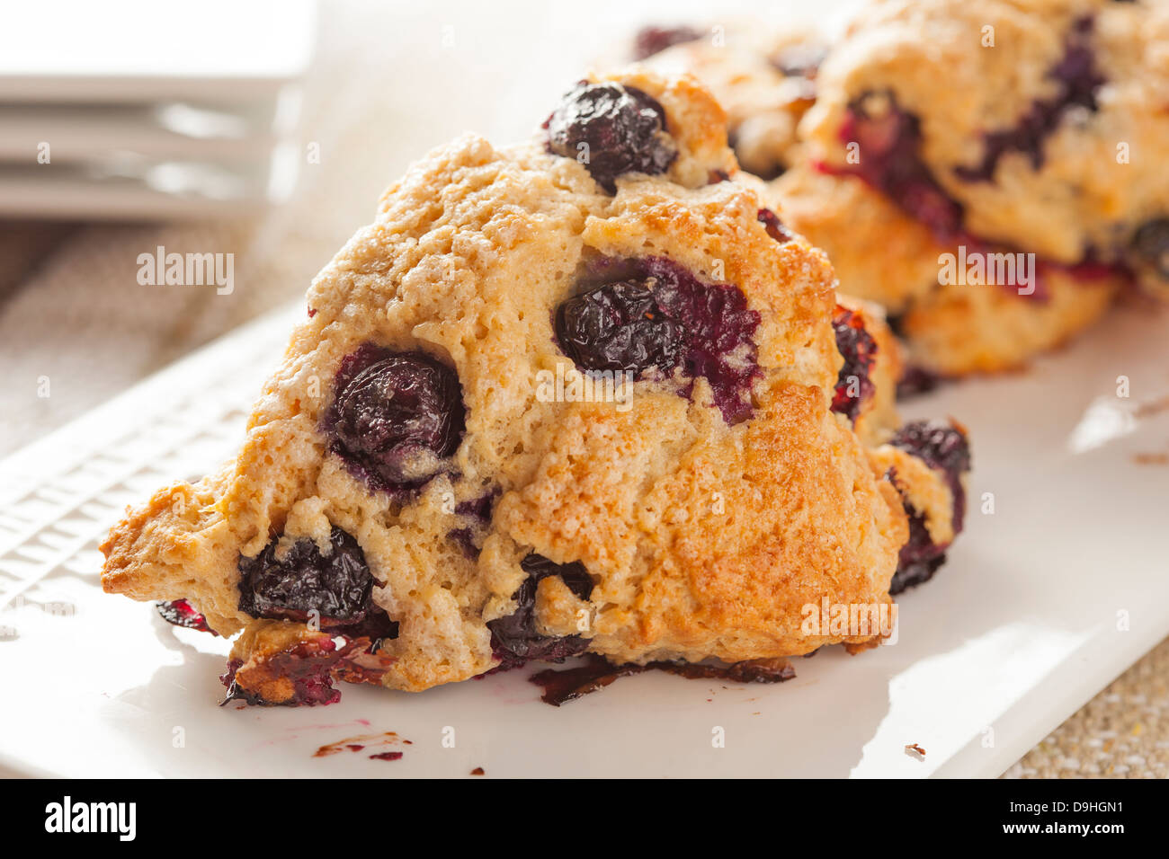 Des Scones aux bleuets Petit-déjeuner prêt à manger Banque D'Images