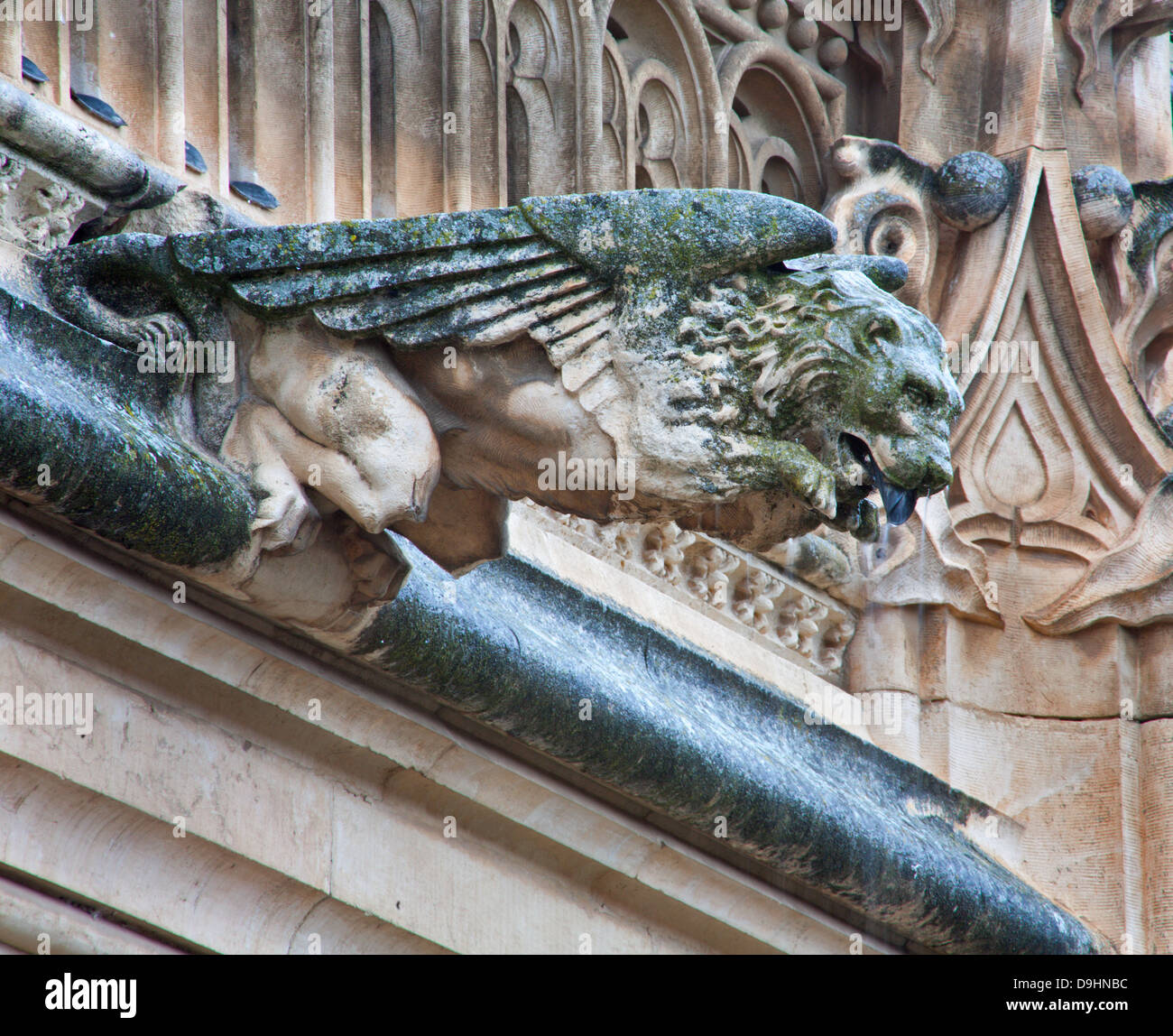 TOLEDO - 8 mars : Détail d'animal comme spoutler gothique dans la pluie à partir d'atrium de Monasterio de San Juan de los Reyes Banque D'Images