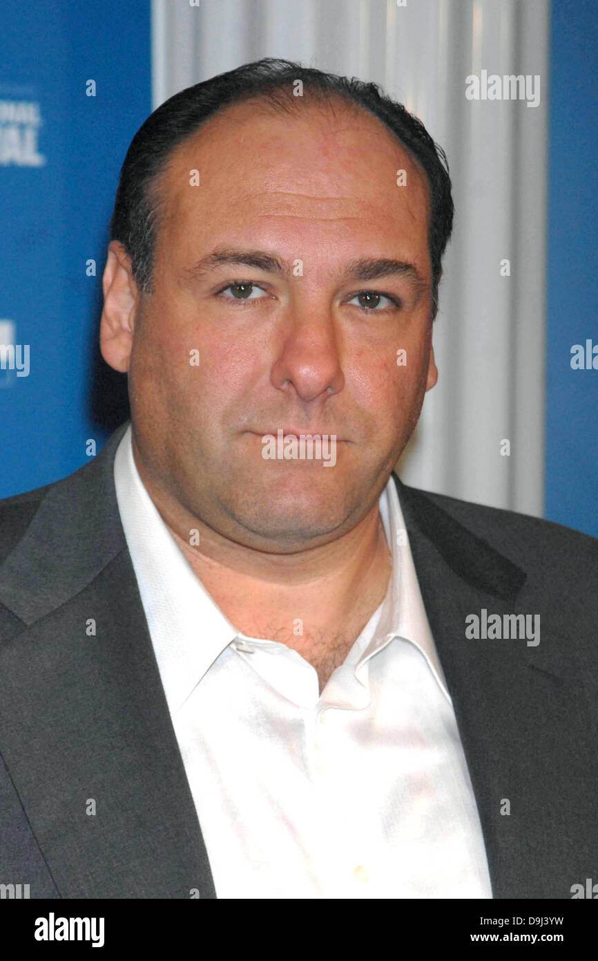 L'acteur américain James Gandolfini nous parle de son nouveau film "Les fous du roi" lors d'une conférence de presse tenue à l'hôtel Sutton Place, au cours de la 31e Festival International du Film de Toronto à Toronto, Canada, dimanche, 10 septembre 2006. Photo : Dennis Van Tine Banque D'Images