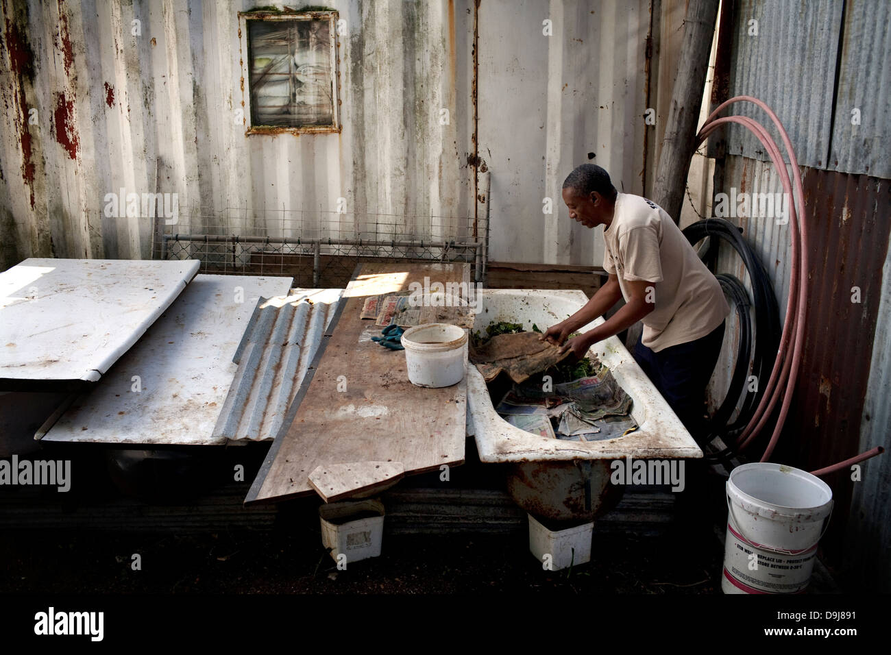 Michael Valentine se trainer la vie du sol qui travaille dans Lavender Hill area Cape Town Michael a été faite il y a quelques années, s'est rendu sans-abri Banque D'Images