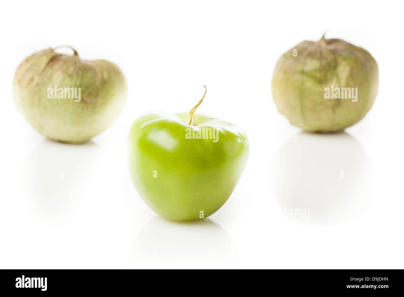 Bio Tomatillo vert frais avec une cosse Banque D'Images