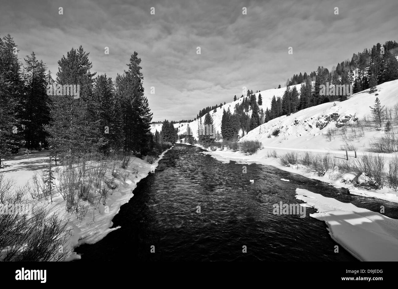 Le long du sentier de motoneige dans la région de Grays River, Wyoming, un affluent de la rivière Snake. Banque D'Images